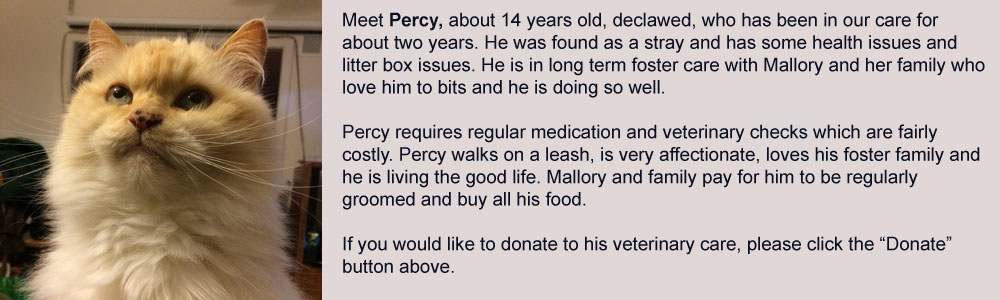 read more about percy