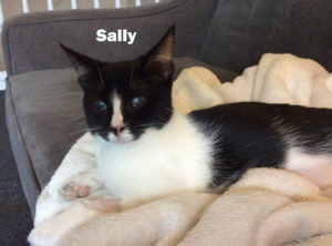 Sally_1