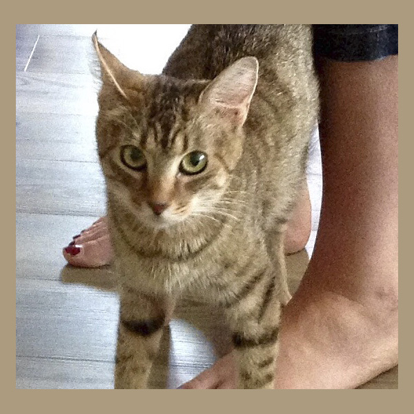 Our Sponsors Contact Us